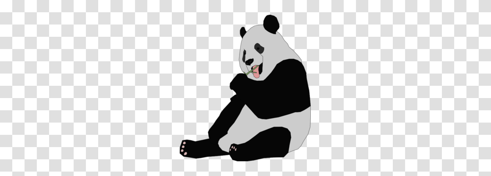 Panda Eating Clip Art, Mammal, Animal, Wildlife, Person Transparent Png