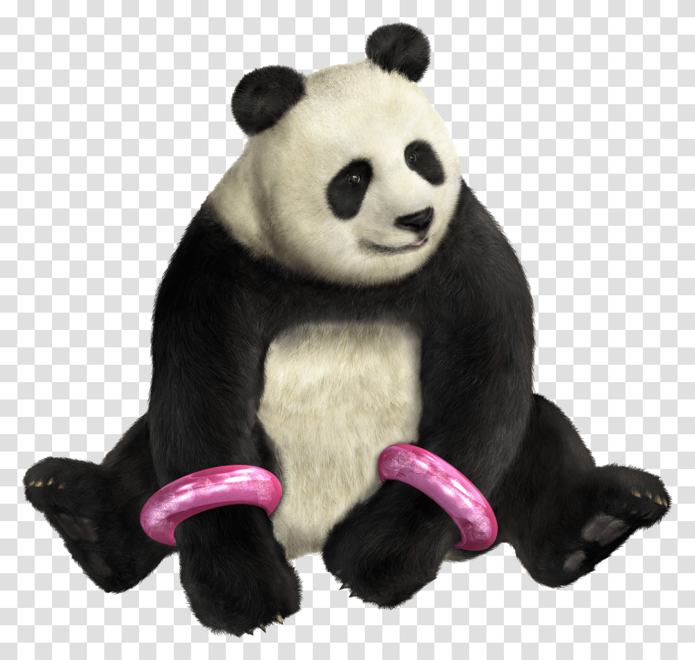 Panda Free Image Download Tekken Girl With Panda, Mammal, Animal, Toy, Giant Panda Transparent Png