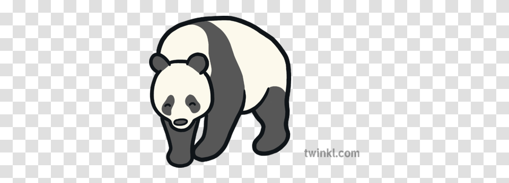 Panda Map Icon Chinese Animal Mammal Endangered Eyfs Animal Figure, Wildlife, Giant Panda, Bear, Stencil Transparent Png