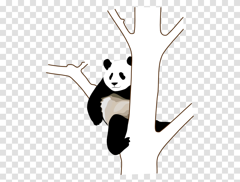 Panda On A Tree Clipart Panda Clip Art, Stencil, Face, Antler Transparent Png