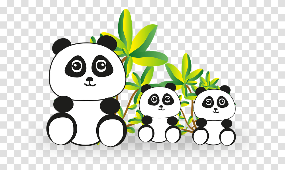 Panda Panda Bear Bear Endangered China Lp Dn Miu T Mt Cnh P A Phng Em, Vegetation, Plant, Giant Panda, Wildlife Transparent Png