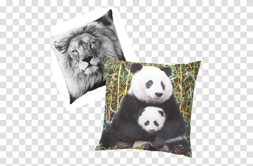 Panda Puzzle, Pillow, Cushion, Giant Panda, Bear Transparent Png