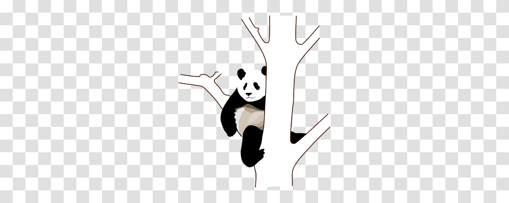 Panda Tree Branch Sitting Climb Panda Pics, Person, Human, Performer, Face Transparent Png