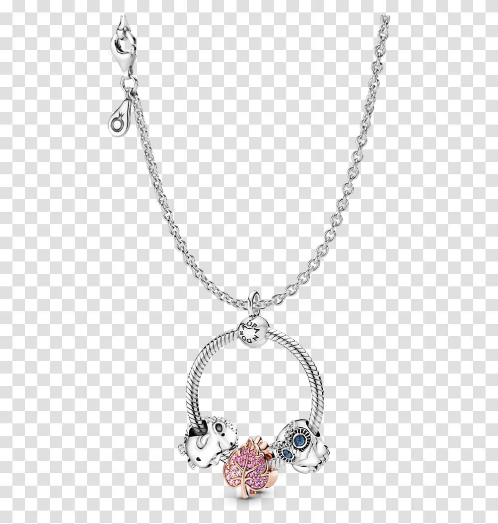 Pandora Owl Charm Necklace, Jewelry, Accessories, Accessory, Diamond Transparent Png