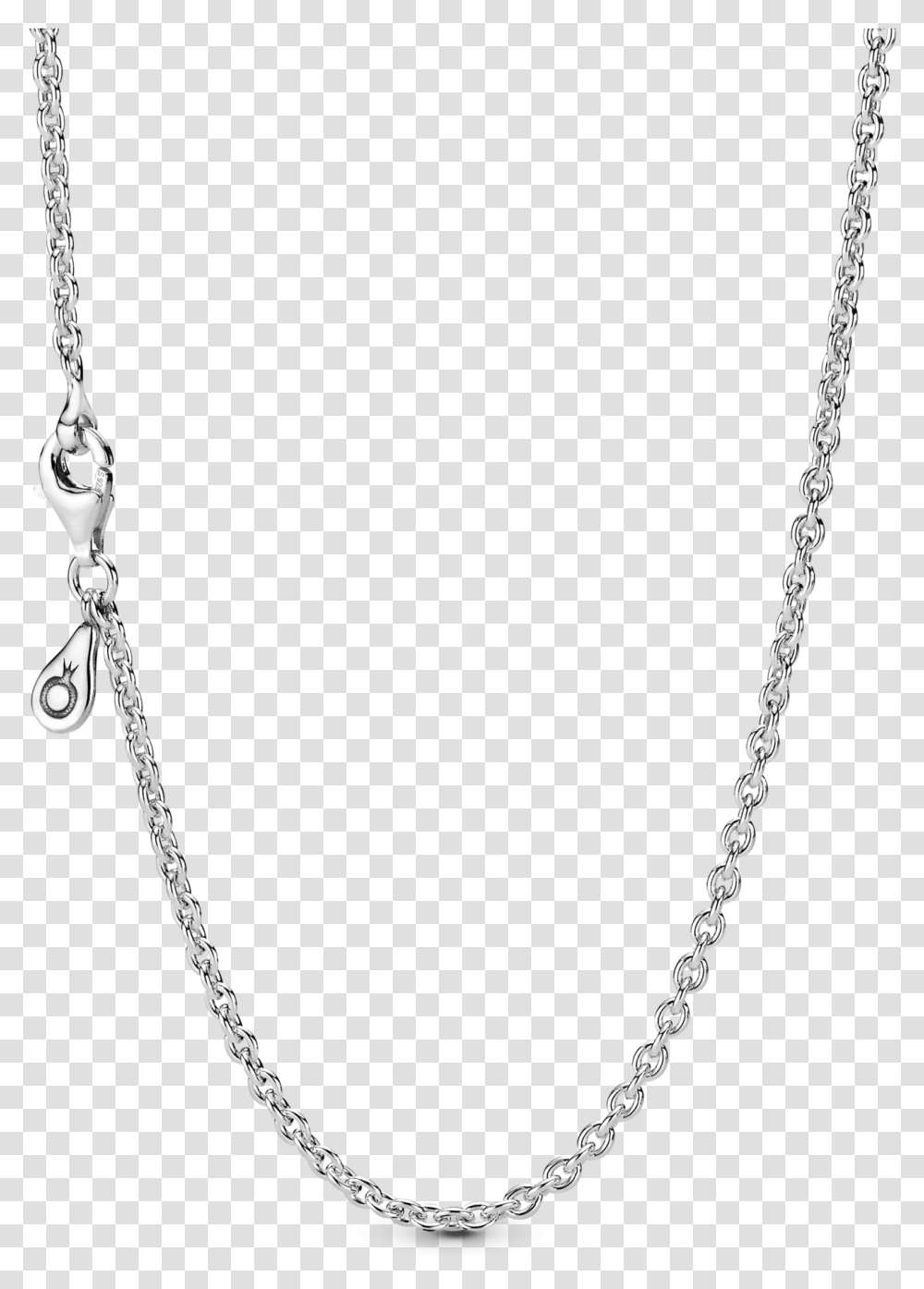 Pandora Title Tag Necklace Pandora, Accessories, Accessory, Jewelry, Chain Transparent Png