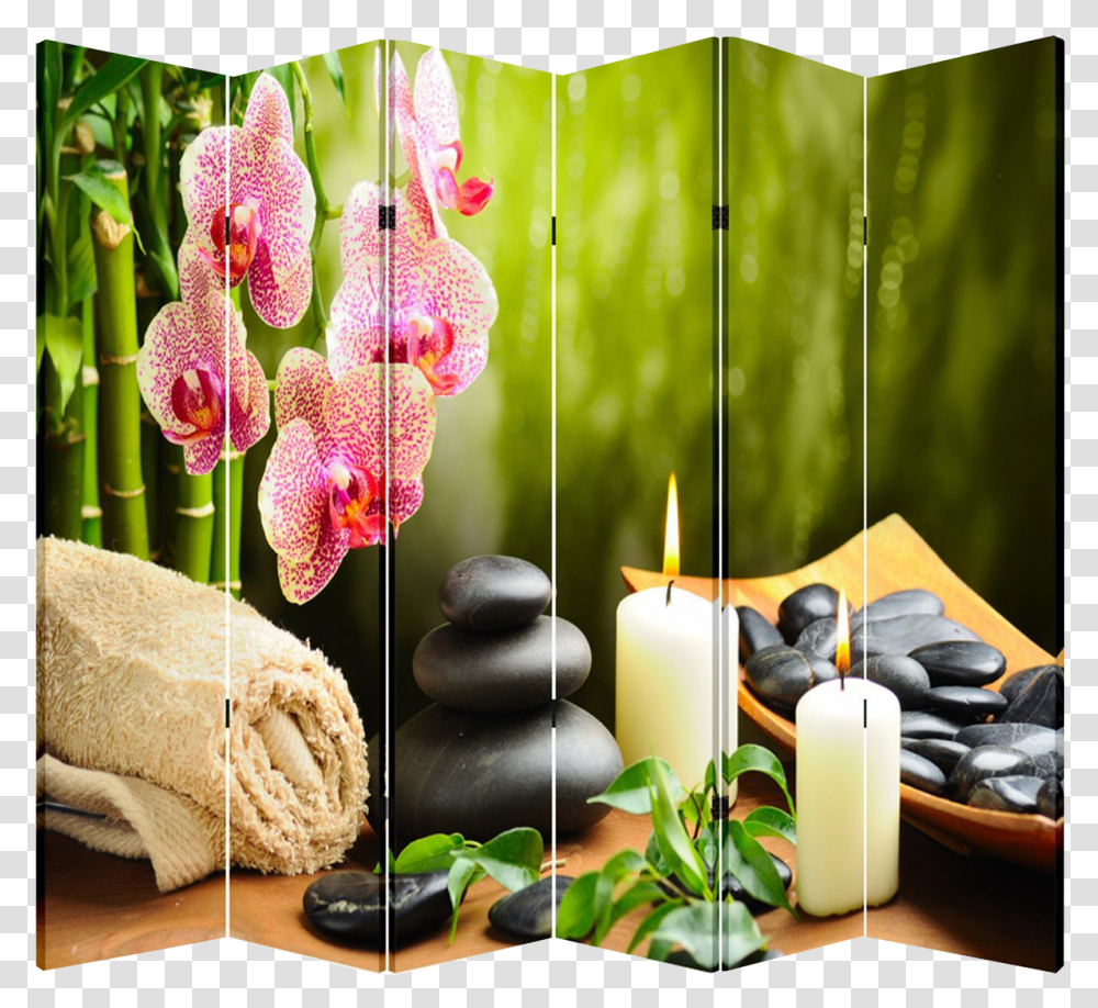 Panel Folding Screen Room Canvas Divider Hotstones Hotel, Candle, Plant, Shop, Sweets Transparent Png
