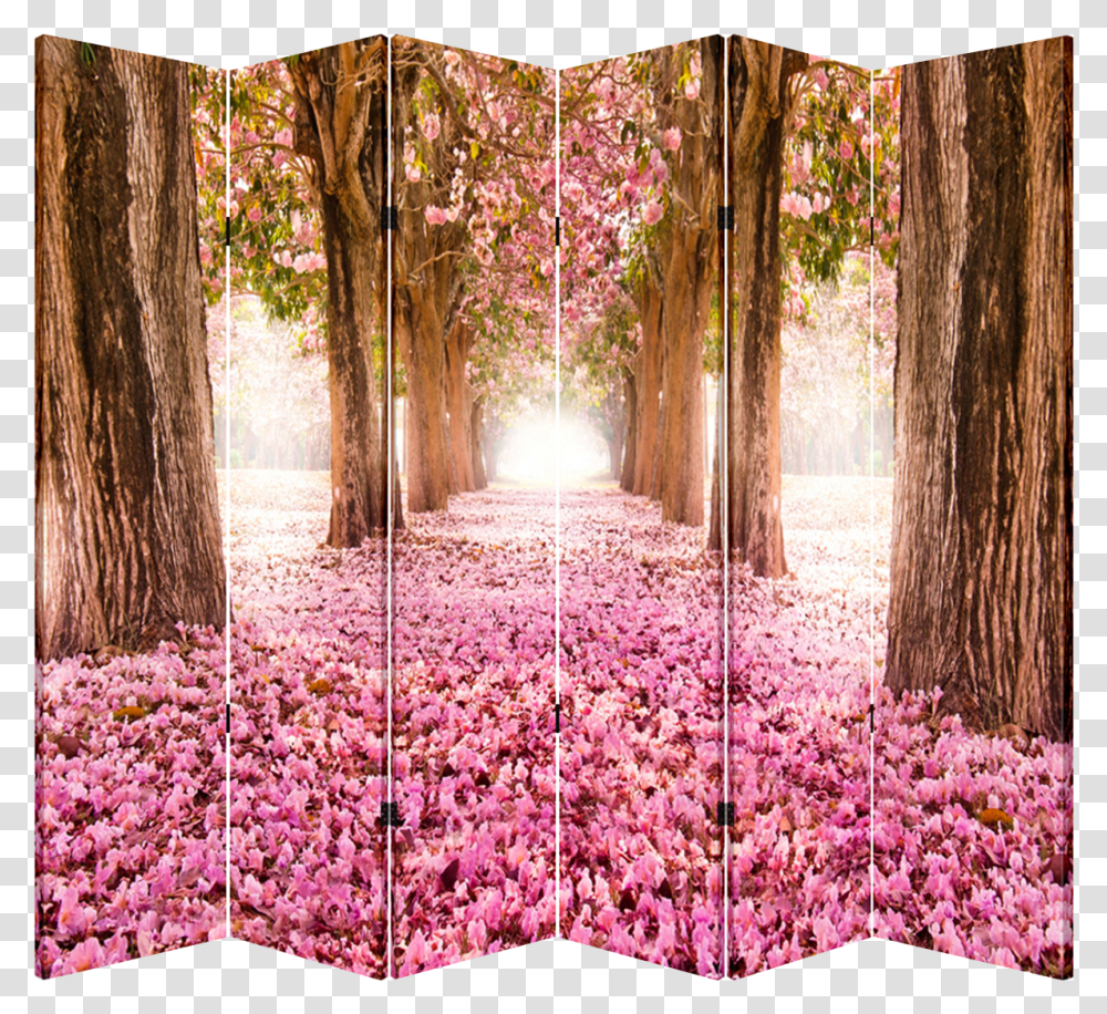 Panel Folding Screen Room Canvas Divider Pink Pathway, Plant, Tree, Flower, Vegetation Transparent Png