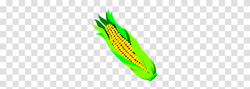 Pannocchia Di Gran Turco Clip Art, Plant, Vegetable, Food, Corn Transparent Png