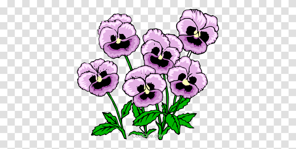 Pansies Royalty Free Vector Clip Art Illustration, Plant, Pansy, Flower, Blossom Transparent Png