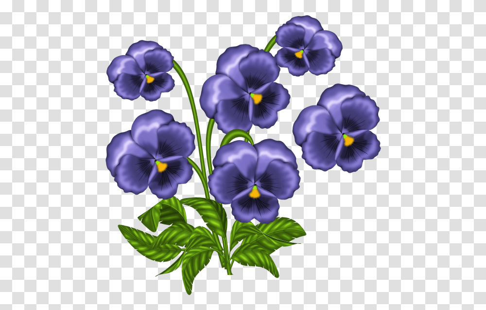 Pansy African Violet Flower Clip Art, Plant, Blossom, Petal, Geranium Transparent Png