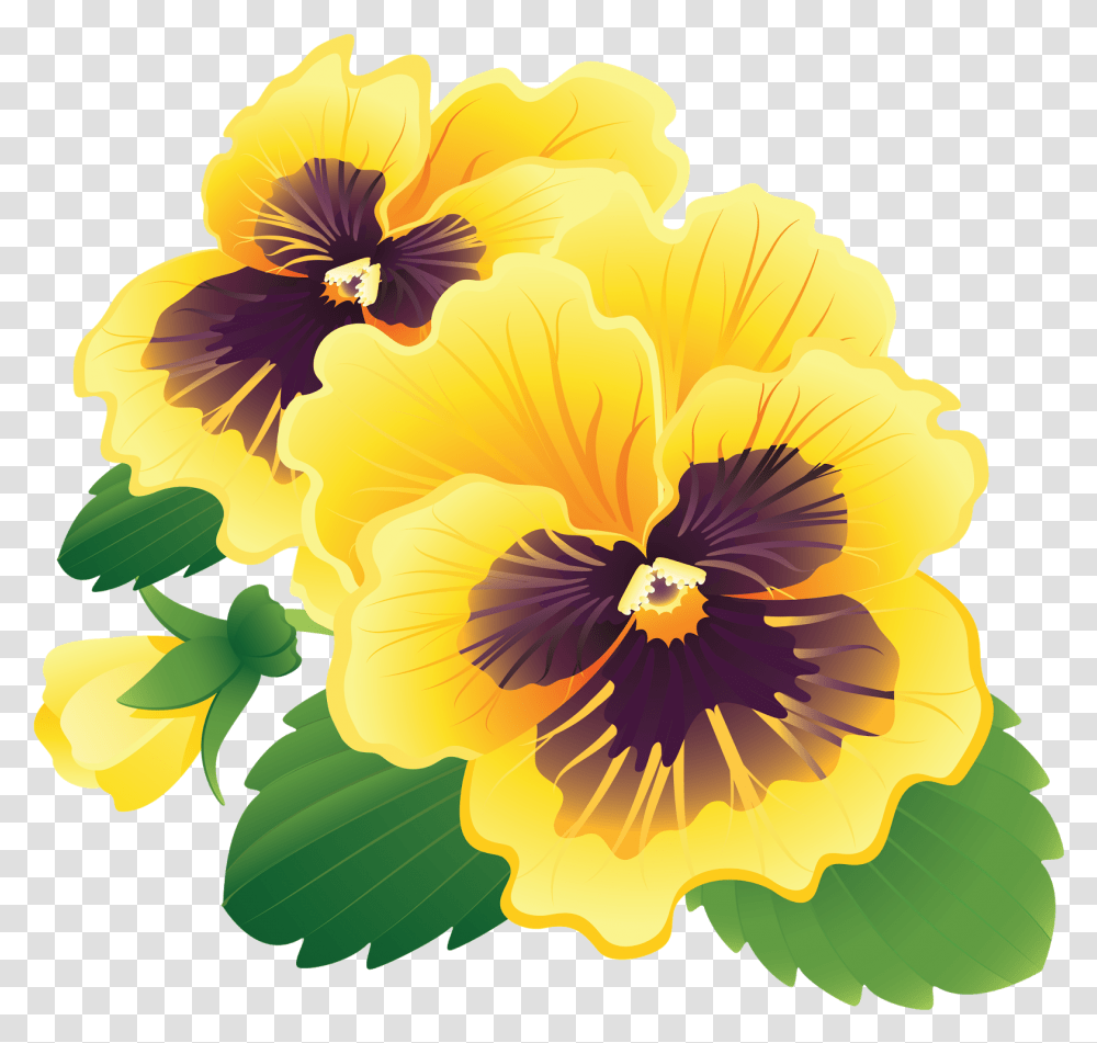 Pansy Clipart Pansy Flowers, Plant, Blossom, Geranium, Anther Transparent Png