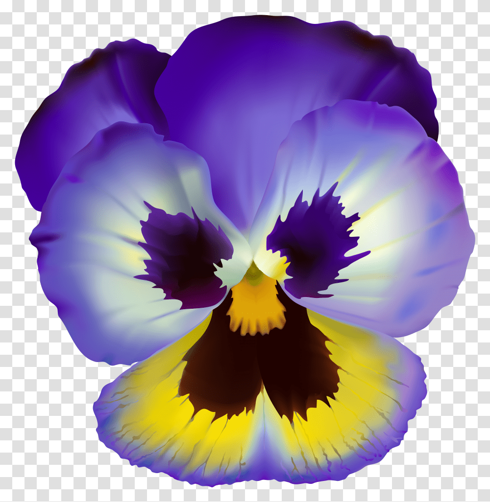 Pansy Drawing Viola Flower Violet Flower Clip Art Transparent Png