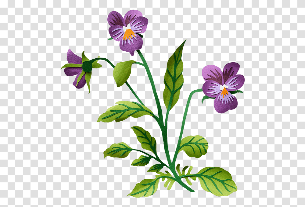 Pansy Pansy Background Clipart Full Size Pansy Flower Clip Art, Plant, Acanthaceae, Blossom, Geranium Transparent Png