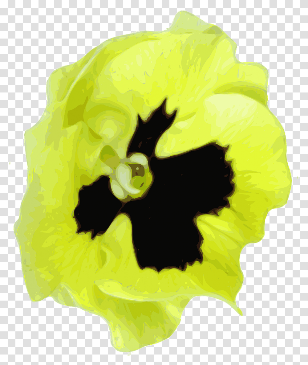 Pansy, Plant, Flower, Blossom, Petal Transparent Png