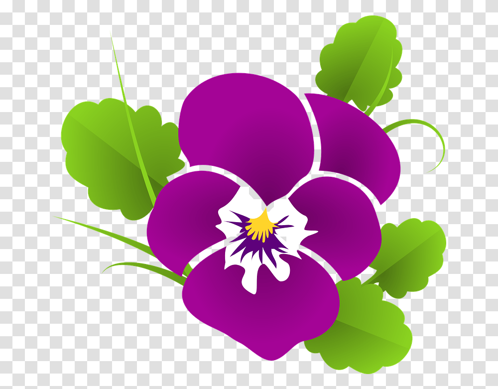 Pansy Violet Viola Violace Pansies Clipart, Plant, Flower, Blossom, Petal Transparent Png
