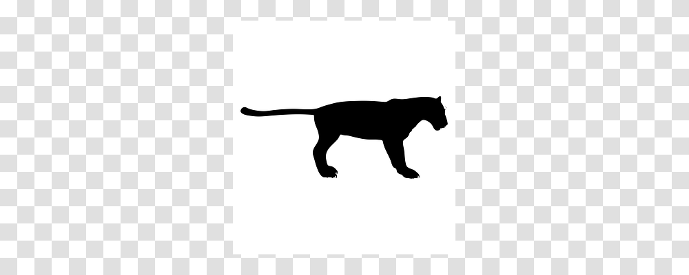 Panther Silhouette, Animal, Mammal, Stencil Transparent Png