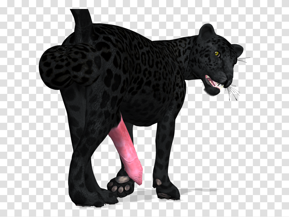 Panther Cat Computer Icons Black Panther Animal, Wildlife, Mammal, Leopard, Jaguar Transparent Png