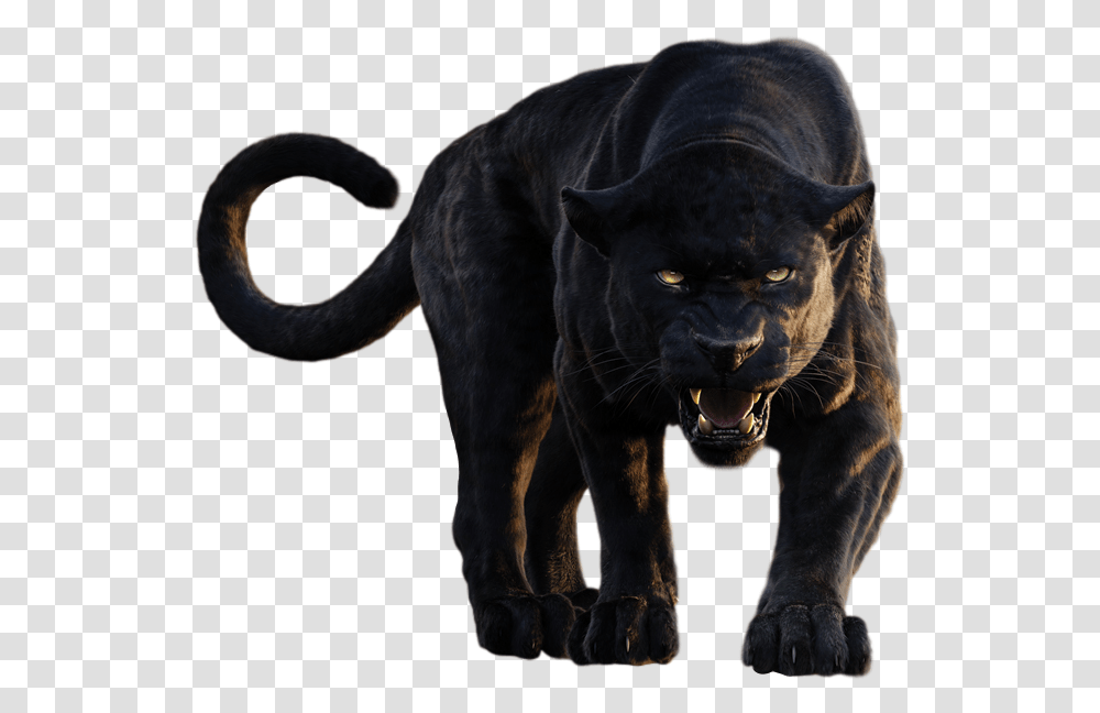Panther Clipart Jungle Book Bagheera Roar, Wildlife, Mammal, Animal, Jaguar Transparent Png