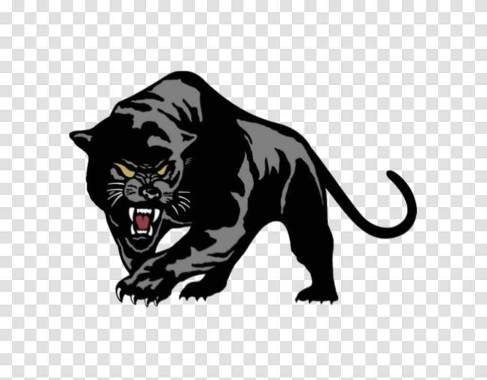 Panther Clipart Pioneer, Wildlife, Animal, Mammal, Leopard Transparent Png