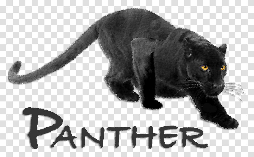 Panther Head Black Panther Animal Crouching, Wildlife, Mammal, Jaguar, Leopard Transparent Png