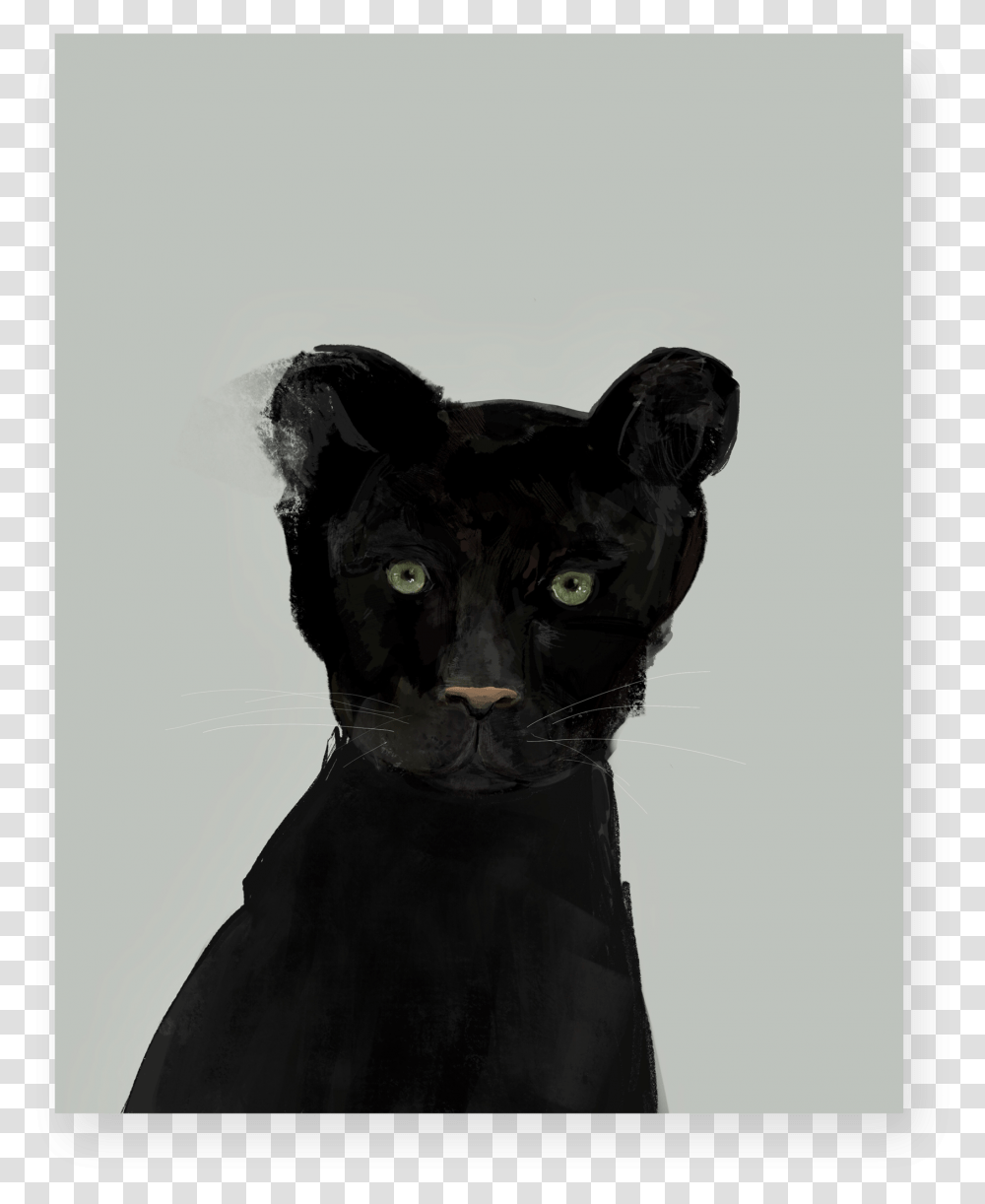 Panther, Mammal, Animal, Pet, Black Cat Transparent Png