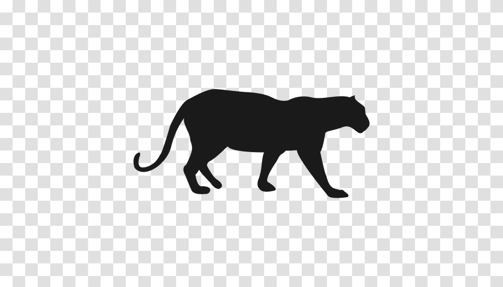 Panther Silhouette, Animal, Mammal, Lion, Wildlife Transparent Png