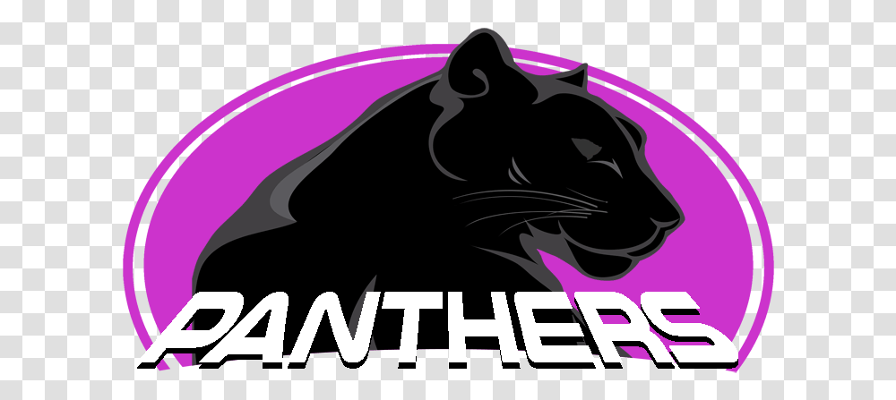 Panthers Cougar, Pet, Animal, Mammal, Cat Transparent Png