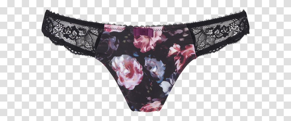 Panties, Apparel, Underwear, Lingerie Transparent Png