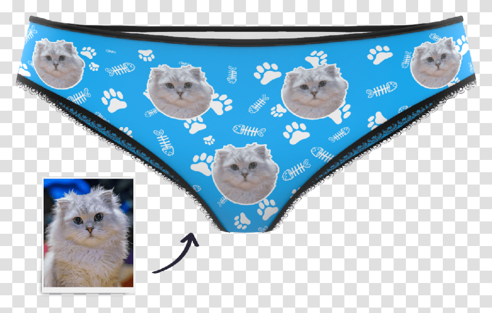 Panties, Cat, Pet, Mammal Transparent Png