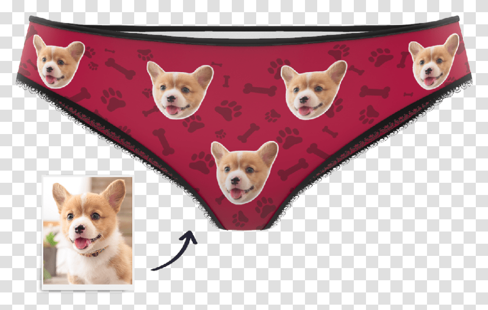 Panties, Dog, Pet, Canine, Animal Transparent Png