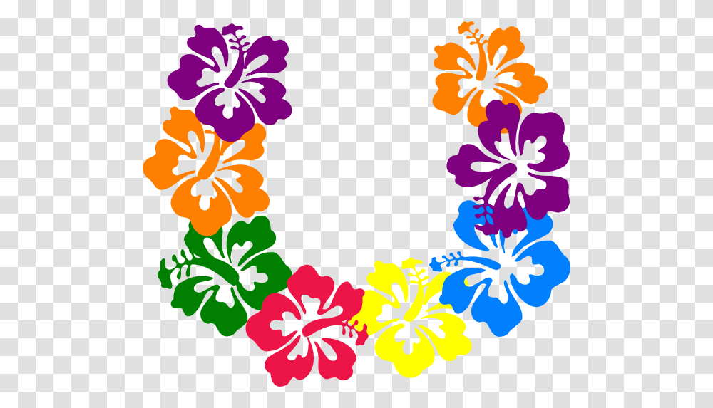 Papas Donuteria, Plant, Flower, Blossom, Hibiscus Transparent Png