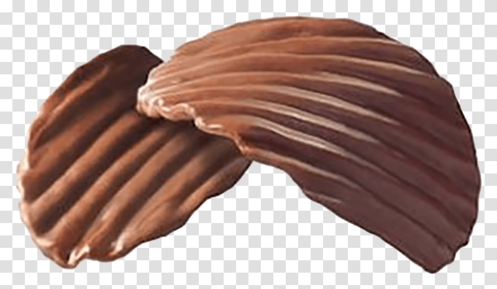 Papas Lays Con Chocolate, Clam, Seashell, Invertebrate, Sea Life Transparent Png