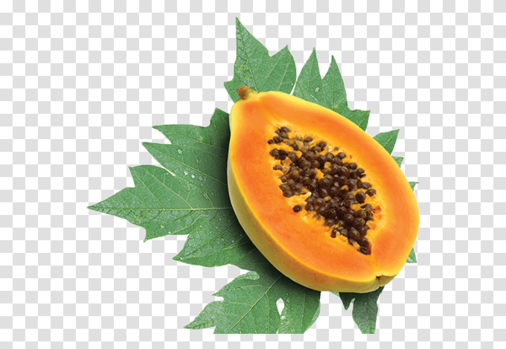 Papaya Fruit, Plant, Food, Leaf Transparent Png