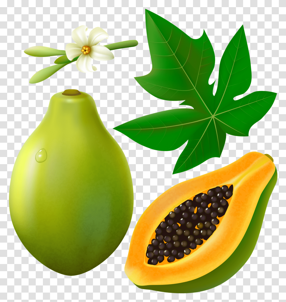 Papaya Fruits With Leaf And Flower Clip Art Papaya Flower, Plant, Food, Pear Transparent Png