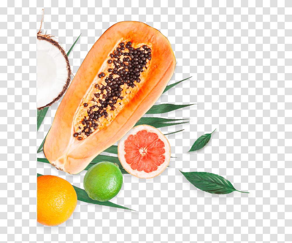 Papaya, Plant, Fruit, Food, Citrus Fruit Transparent Png