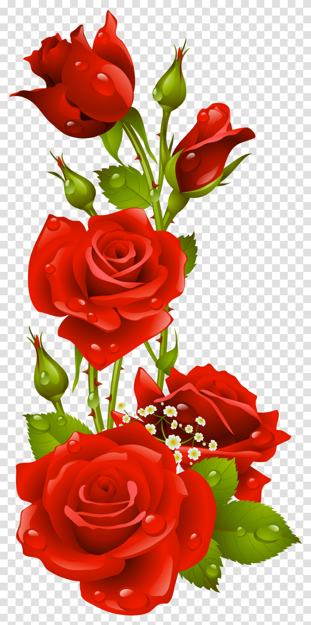 Papel De Carta Em Rosas Vermelhas, Rose, Flower, Plant, Blossom Transparent Png