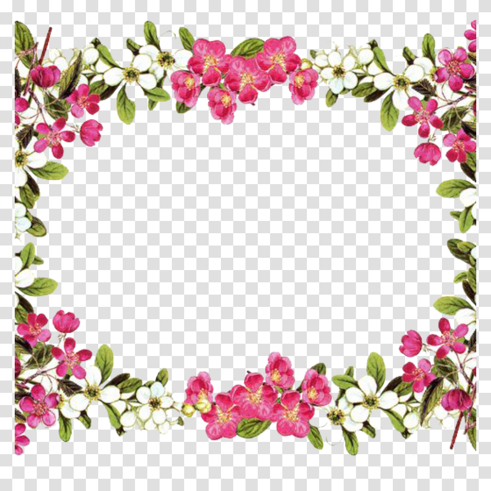 Paper Borders And Frames Flower Rose Clip Art Flower Border, Plant, Blossom, Petal, Floral Design Transparent Png