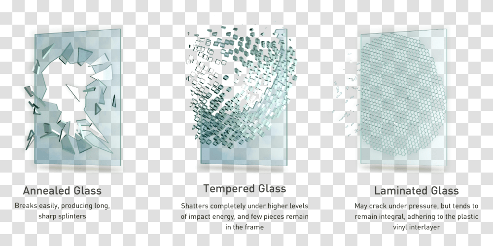 Paper, Collage, Poster, Advertisement, Plant Transparent Png