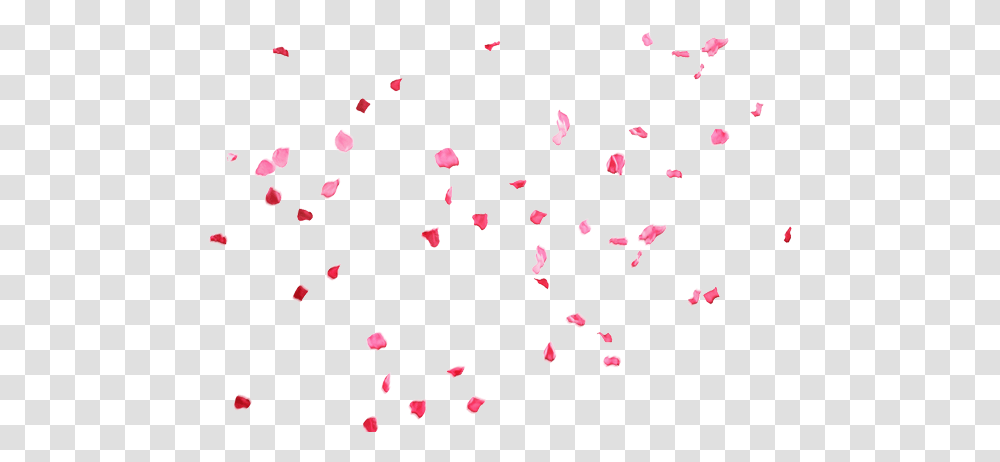 Paper, Confetti, Petal, Flower Transparent Png