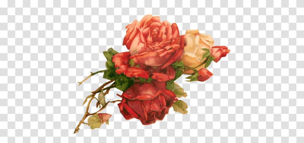 Paper Crafts - Vintage Pieces For Collagealtered Art Vintage Red Red Roses Background, Plant, Flower, Blossom, Geranium Transparent Png