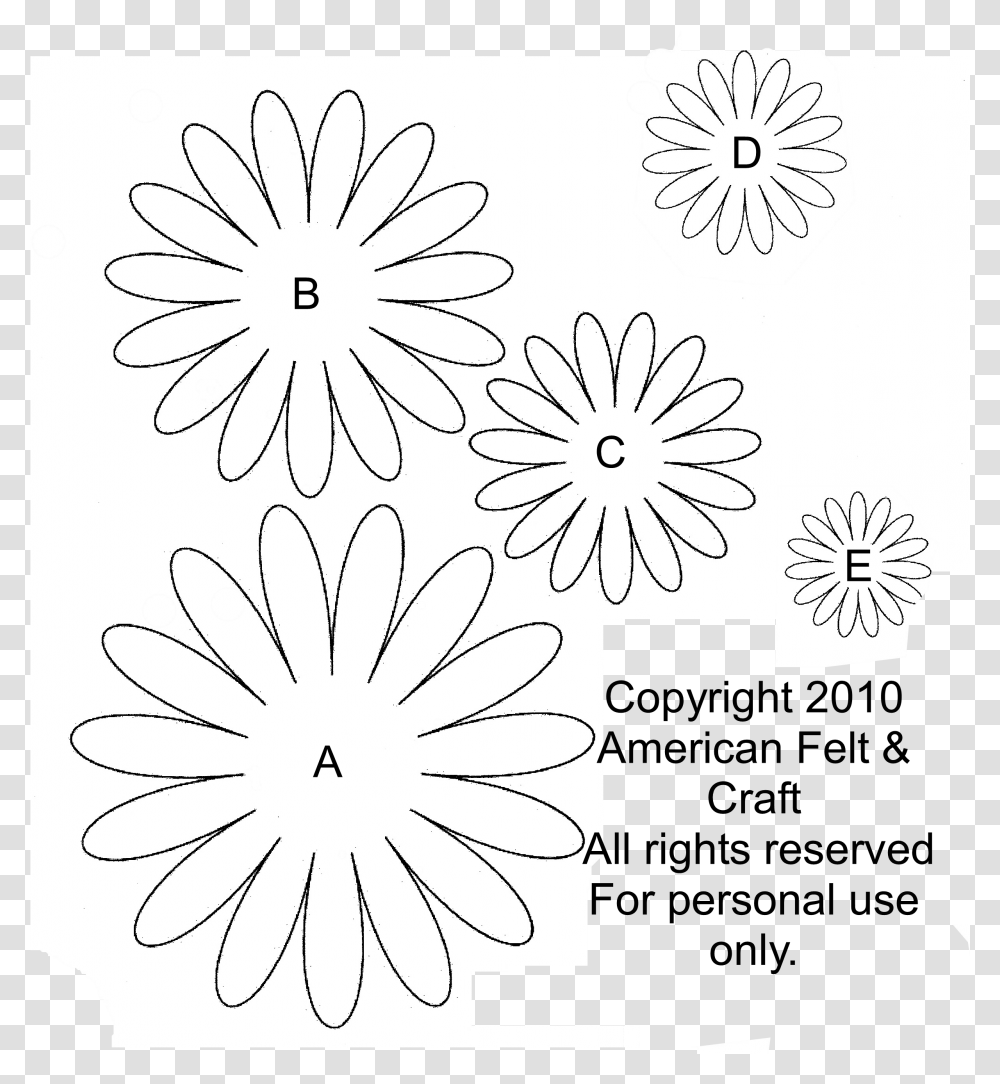 Paper Daisy Template, Plant, Flower, Blossom, Daisies Transparent Png