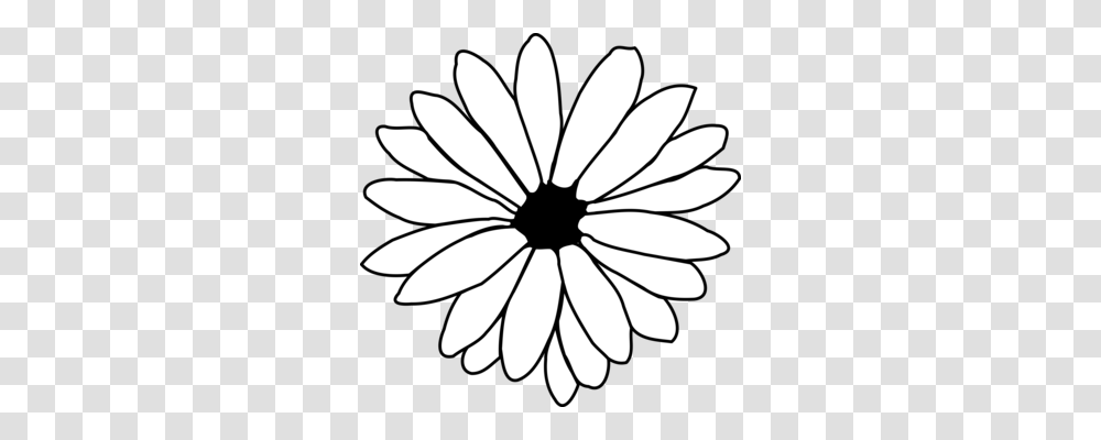 Paper Drawing Petal Flower Common Daisy, Plant, Daisies, Blossom, Insect Transparent Png