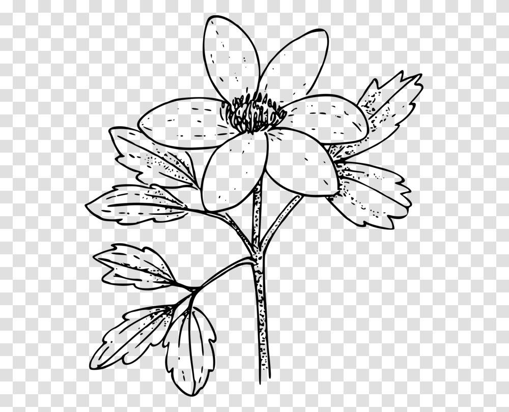 Paper Flower Canada Anemone Japanese Anemone Drawing Paper Flowwer In Drawing, Gray, World Of Warcraft Transparent Png