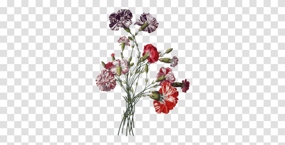 Paper Flower Drawing Pink Plant For Valentines Day 1000x1000 Bouquet, Floral Design, Pattern, Graphics, Art Transparent Png