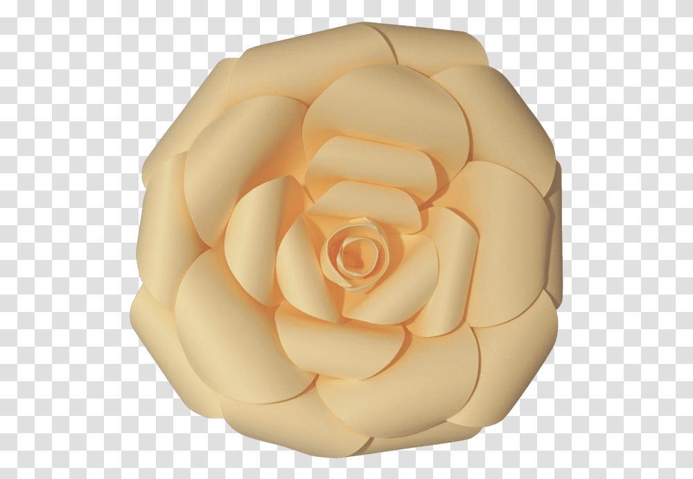 Paper Flower Image Japanese Camellia, Rose, Plant, Blossom, Hand Transparent Png