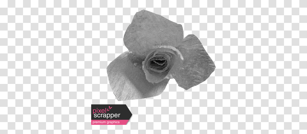 Paper Flower Template 010 Graphic Flower Paper Texture, Plant, Blossom, Rose, Petal Transparent Png