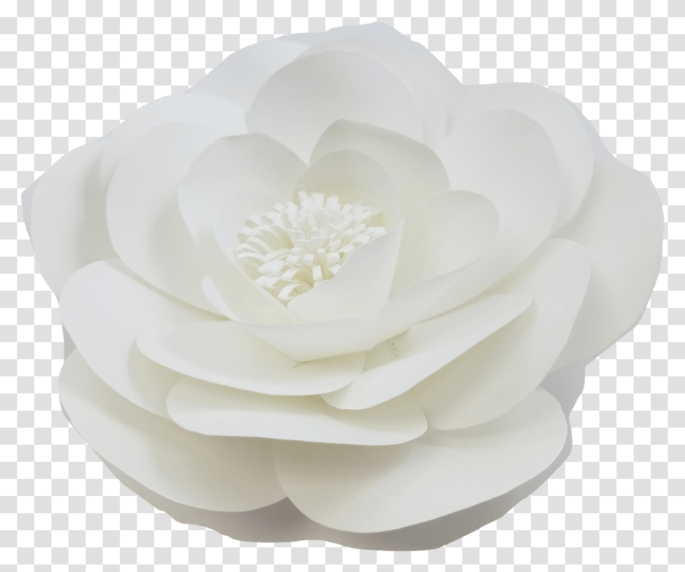 Paper Flowers, Rose, Plant, Blossom, Petal Transparent Png