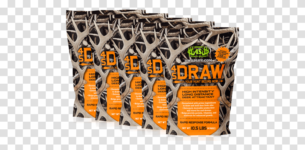Paper, Flyer, Poster, Advertisement, Brochure Transparent Png