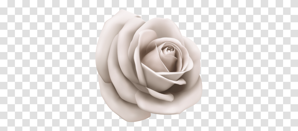 Paper Illustration Vector White Rose, Flower, Plant, Blossom Transparent Png