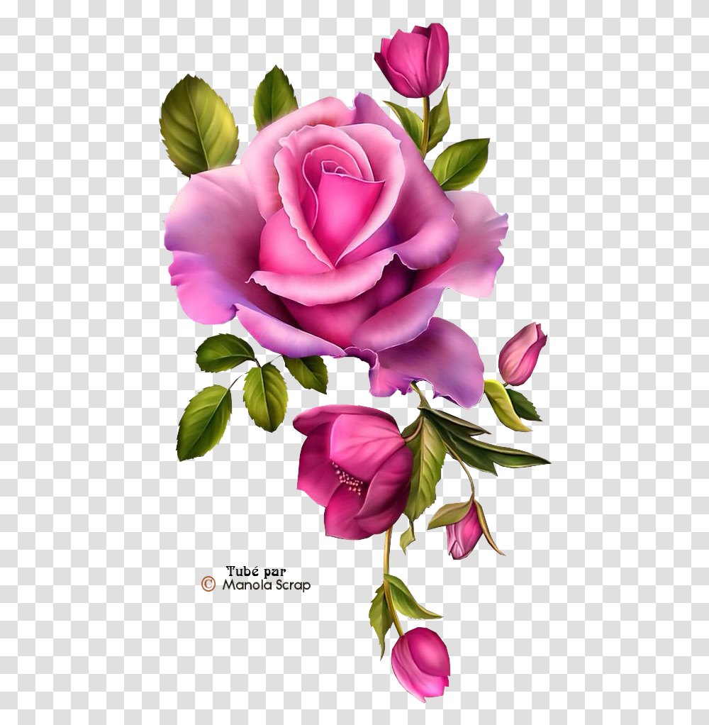 Paper Napkin Clipart Blue Rose Border, Flower, Plant, Blossom, Petal Transparent Png